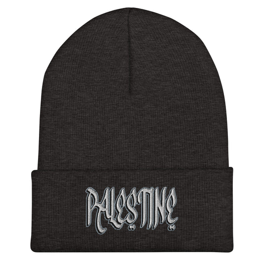 Beanie - Streets of Palestine by Netwalker13